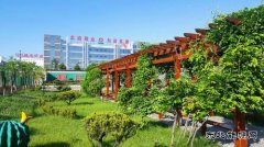 蒲白建庄矿业：懂得敬畏，才是真正强大的开始