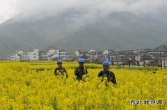 源县供电公司：积极备战 为油菜花旅游旺季提供可靠电力保障