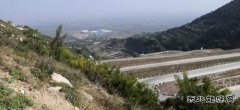 蒲洲热电公司：践行“两山”理论 倡导绿色文化 实现清洁生产