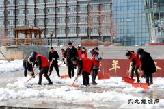 兴凯湖电业公司：“学党史 办实事”铲冰除雪暖人心