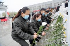 太康县供电公司：清明祭英烈 精神永传承