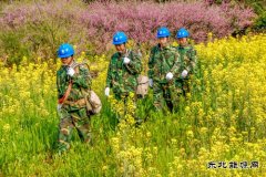 江西婺源：花香“电亮”农家乐