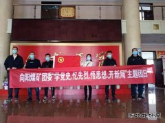 向阳矿团委组织开展“学党史、忆先烈”主题团日活动