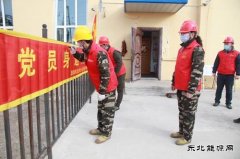 黑龙江兴凯湖电业公司：“党建+春检”筑牢供电安全防护网