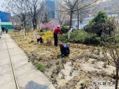 陕煤陕北矿业涌鑫公司：添绿抖尘  矿区处处展“新颜”