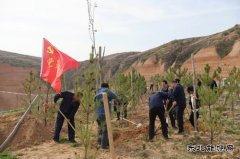陕煤陕北矿业涌鑫公司：争做党史学习“领头雁”