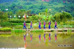  那些年、这些年，李庄的用电事儿……