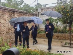 蒲白中心社区：以雨为令，防汛抢险进行时
