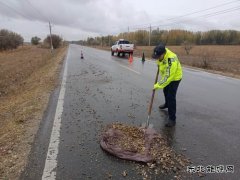哈巴河执法大队：及时清理路面杂物 确保公路安全畅通
