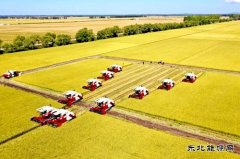 兴凯湖供电分公司：全力而为保秋收供电 确保粮食颗粒归仓