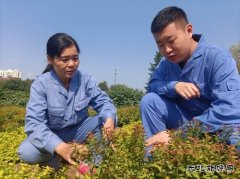 用热爱撑起一片绿荫——记甲帮苗木花卉公司关红、林达师徒