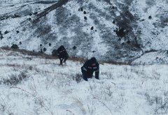 辽宁新完美体育事业部：暴风雪中全力保供