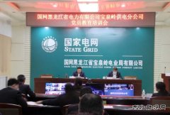 国网宝泉岭供电公司： 激活党建文化 提升党建内生动力
