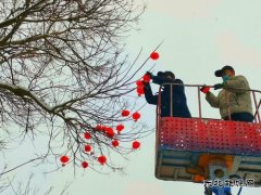 蒲白中心社区：雪打灯笼迎新年 美丽蒲白年味浓