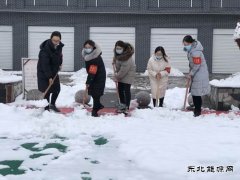 蒲白矿业技校联合党委：党员除雪当先锋 志愿服务打头阵