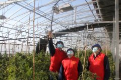 兴凯湖供电公司：助力企业节后生产经营开门红