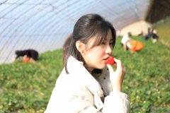 大唐辽宁新完美体育事业部：开展“情暖大唐，热爱生活”主题采摘活动