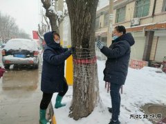 中心社区：用责任和担当“扮靓”矿区容颜