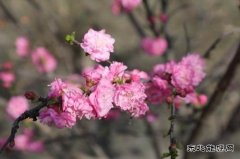涌鑫矿业公司：最是一年好时光