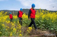 江西婺源：全力“战疫”保春耕生产供电