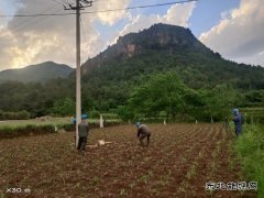 变压器故障：会泽供电局紧急抢修点亮67户山区村民