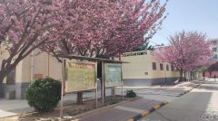 蒲白中心社区：五朵金花并蒂开 各具特色抓服务
