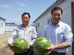 图片新闻：蒲白矿业煤矿运营公司“夏送清凉暖人心”