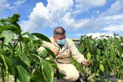 珲春发电厂：“幸福菜地”提升职工幸福感