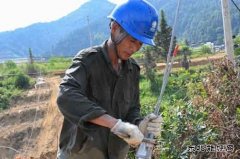 江西婺源：战高温架电网  完美体育保供