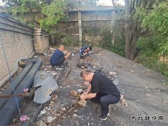 白水马南社区：紧急抢修 快速恢复居民供电