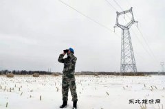 佳木斯电网：以雪为令，对抗风雪保供电