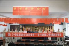 精准帮扶：党建引领乡村振兴