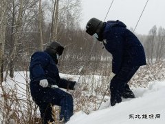 国网松岭供电公司：践行二十大精神 “一切为民”服务葆初心