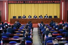 国网黑龙江水电总厂：百日攻坚开好局 奏响春检进行曲