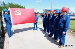 兴凯湖供电公司：“党建+工程”激活工程建设“动力引擎”