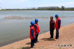 兴凯湖供电公司：贴心服务助力垦区特色养殖业蓬勃发展