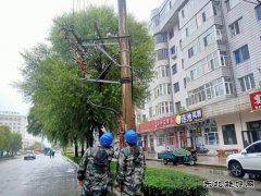 国网牡丹江东宁市供电公司：履职尽责保供电  彰显央企担当