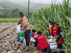 国网牡丹江东宁市供电公司：守望相助 同心重建