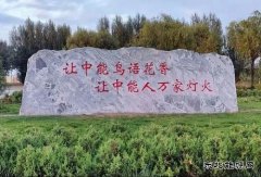 陕西中能煤田有限公司：秋意中能，倾国倾城