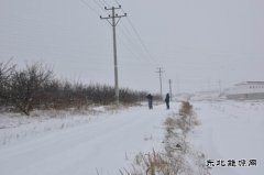 国网巴林左旗供电公司：雪后巡线保障供电安全