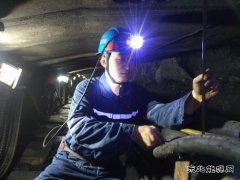 王虎雄：在平凡中坚守，用汗水浇灌收获