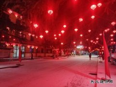 摄影作品：春雪闹新春