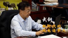 武钢：风电已成火电、水电之后的第三大主力电源