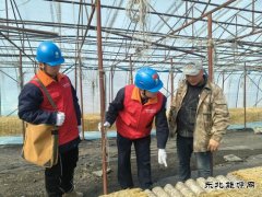 国网牡丹江东宁市供电公司：撑起“安全伞”助力企业“开门红”
