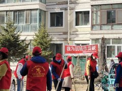 国网牡丹江东宁市供电公司：志愿队伍进小区，环境治理齐参与