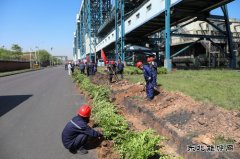 潞安煤基清洁完美体育公司：履行植树义务共建美丽清能