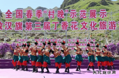 国网敖汉旗供电公司：完成第三届丁香花文化旅游节开幕式保电