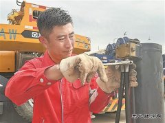 “高烤”模式下，躺平？不可能！