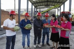 淮北双龙公司：炎炎夏日送清凉 暑消情长润人心