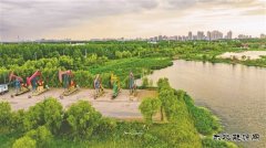 大庆油田：打造生态治理“新名片”